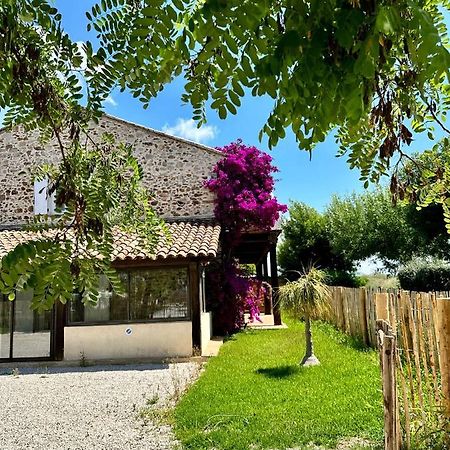 Grand Studio A 5Mns De La Plage Des Salins Hyères Екстериор снимка